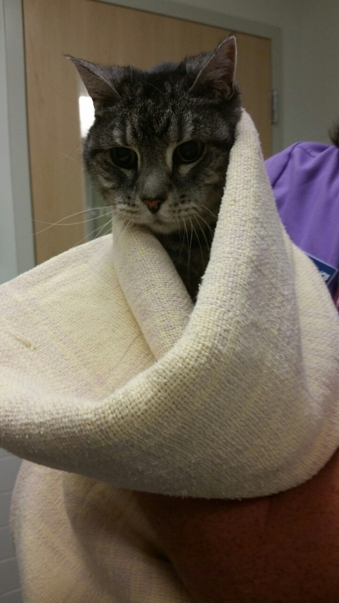 tumblr_orgkrhMpZX1ry9q99o2_1280