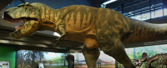 exhibits_dinosaurs
