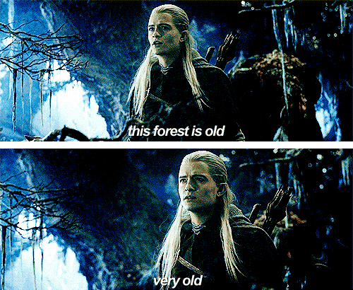 tumblr_m0xmg2n2vd1qddfrco1_500